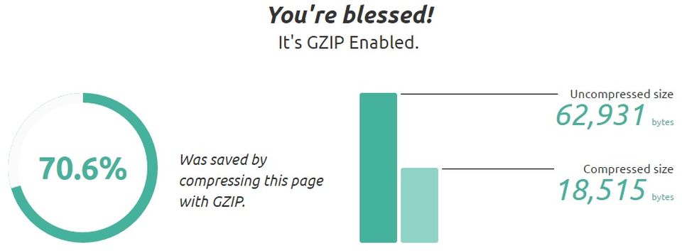 Gzip Test Result